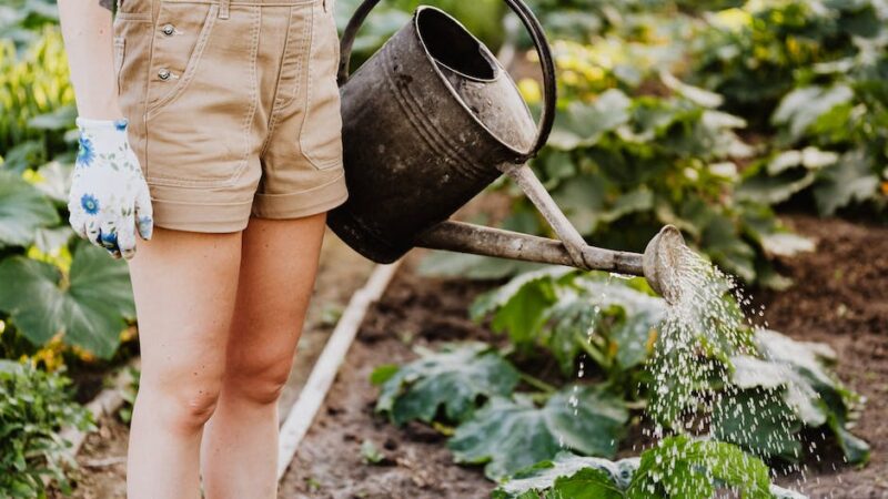 Praktyczne wskazówki dotyczące czyszczenia i przygotowania ogrodu na letni czas